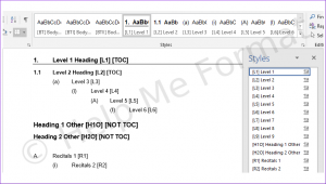 A snapshot of legal formatting styles designed for a law firm